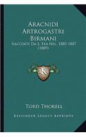 Aracnidi Artrogastri Birmani