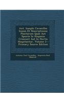 Ant. Iosephi Cavanilles Icones Et Descriptiones Plantarum Quae Aut Sponte In Hispania Crescunt Aut In Hortis Hospitantur, Volume 3 - Primary Source Edition