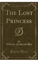 The Lost Princess (Classic Reprint)