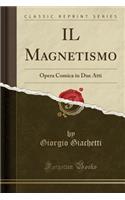 Il Magnetismo