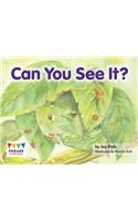 Can You See It?: (Engage Literacy Yellow)