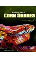 Corn Snakes