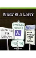 What Is a Law?