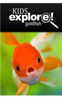 Gold fish - Kids Explore