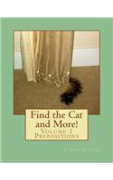 Find the Cat and More!