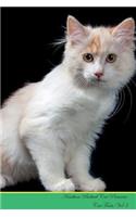 Kurilian Bobtail Cat Presents: Cat Facts Workbook. Kurilian Bobtail Cat Presents Cat Facts Workbook with Self Therapy, Journalling, Productivity Tracker with Self Therapy, Journal