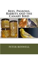 Bees, Pigeons, Rabbits and the Canary Bird