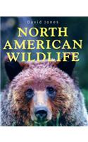North American Wildlife: (English)