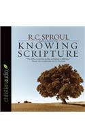 Knowing Scripture