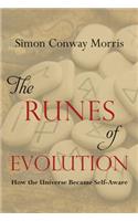 The Runes of Evolution