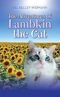 Adventures of Lambkin the Cat