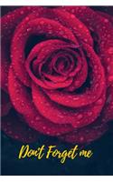 Don't Forget Me: Feeling Of Red Rose in the Night.Internet Password Logbook with alphabetical tabs.Personal Address of websites, usernames, passwords notebook/Journa