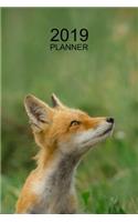 Fox Planner: 2019: Organizer and Notebook: Beautiful Fox