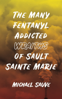 Many Fentanyl Addicted Wraiths of Sault Sainte Marie