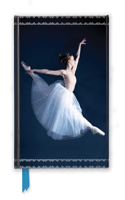 Ballet Dancer (Foiled Journal): (Flame Tree Notebooks)
