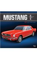 Mustang 2021 Square Foil