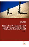 Search For Drought Tolerant Gene by Differential Display