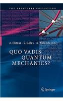 Quo Vadis Quantum Mechanics?