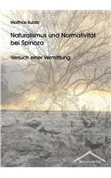 Naturalismus und Normativität bei Spinoza