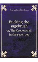 Bucking the Sagebrush Or, the Oregon Trail in the Seventies