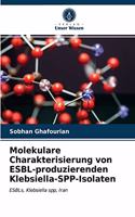 Molekulare Charakterisierung von ESBL-produzierenden Klebsiella-SPP-Isolaten