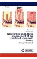 Surgical Endodontics