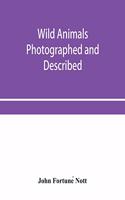 Wild animals photographed and described