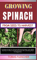 Growing Spinach from Seed to Harvest