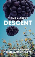 Climb a Great Descent