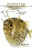 Puffer Fish Calendar 2021: 16 Month Calendar