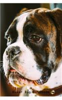 Boxer Dog Notebook