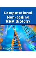 Computational Non-Coding RNA Biology