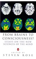 From Brains to Consciousness?: Essays on the New Sciences of the Mind(Allen Lane Science S.)