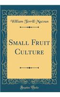 Small Fruit Culture (Classic Reprint)