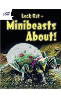Rigby Star Independent Year 2 Non Fiction: Tiny Creatures: (STAR INDEPENDENT)