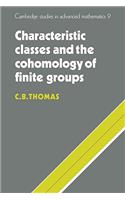 Characteristic Classes and the Cohomology of Finite Groups