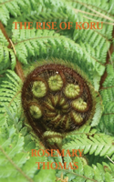 Rise of Koru