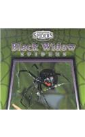 Black Widow Spiders