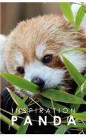 Inspiration Panda