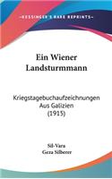 Ein Wiener Landsturmmann: Kriegstagebuchaufzeichnungen Aus Galizien (1915)