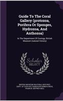 Guide To The Coral Gallery (protozoa, Porifera Or Sponges, Hydrozoa, And Anthozoa)