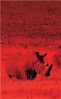 Alive! white rhino - Red dutotone - Photo Art Notebooks (5 x 8 series)