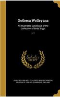 Ootheca Wolleyana