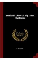 Mariposa Grove of Big Trees, California