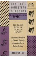Black Hawk or Morgan Family - A Historical Article on a Famous Dynasty in American Horse Racing History