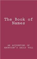 Book of Names: an accounting of what might have been