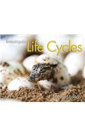 Life Cycles