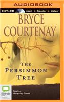 Persimmon Tree