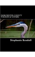 Dorchester County Wildlife & Nature