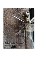 Dragonfly Summer